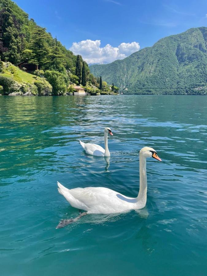 Casacamelia 35, 3 Bdrm With View Lake Como Διαμέρισμα Acquaseria Εξωτερικό φωτογραφία